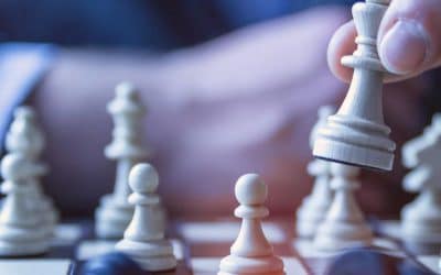 Project Management & Strategy